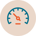 Low Mileage Vehicles icon
